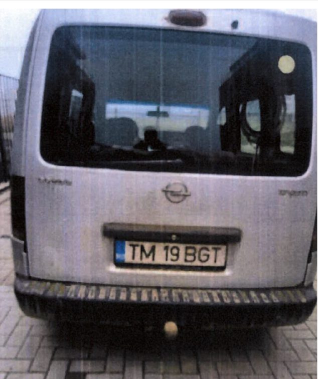 Miniatură 3