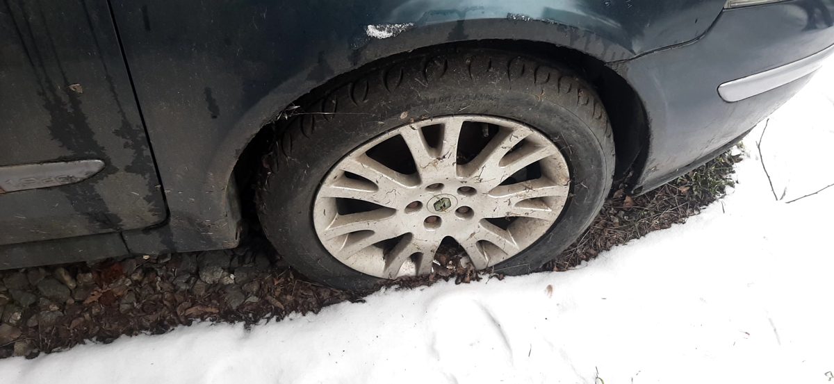 Miniatură 11