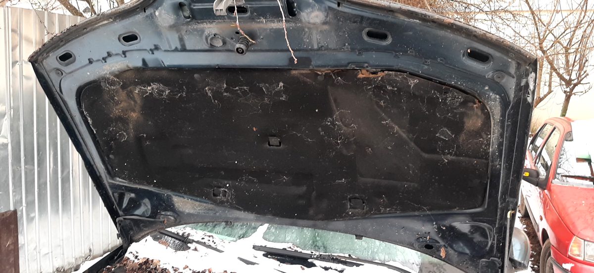 Miniatură 21