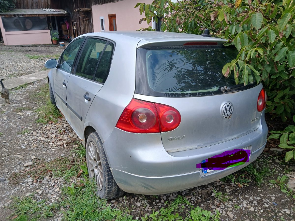 Miniatură 3