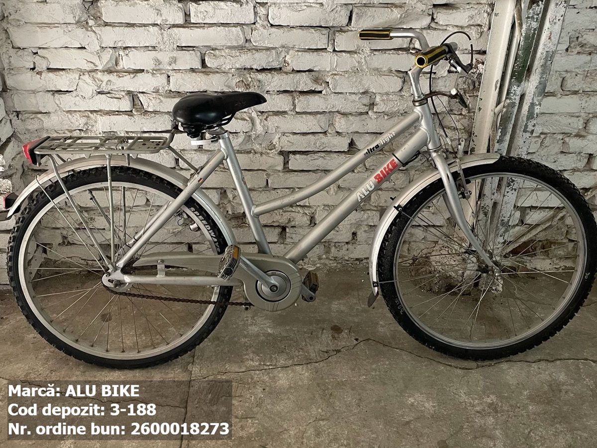Bicicleta- Alu Bike 1