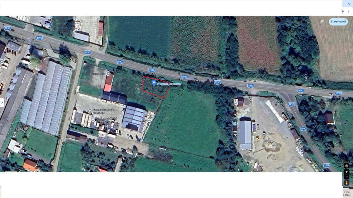 Miniatură 6