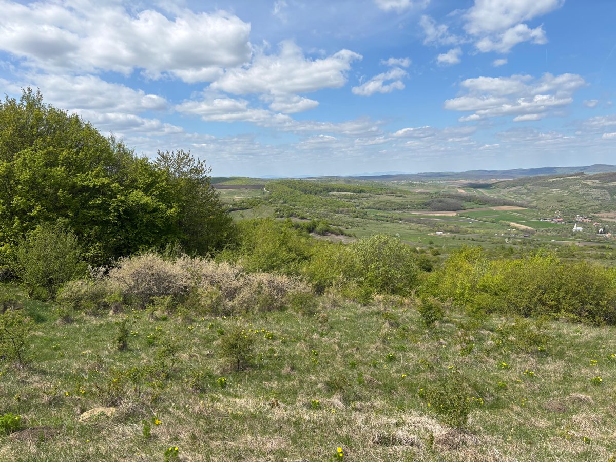 Teren extravilan faneata, cota de ½, in suprafata de 750 mp,  situat in com. Chinteni, jud. Cluj 1