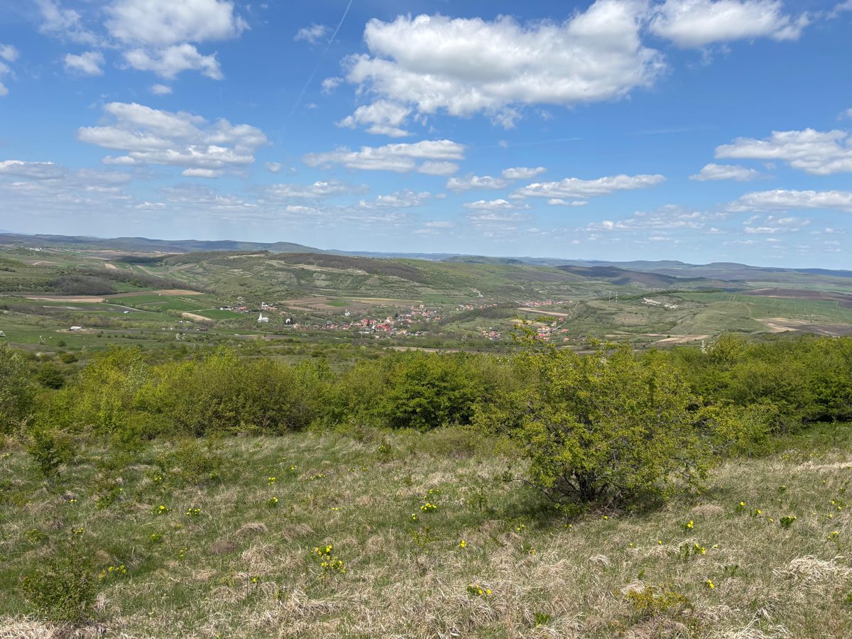 Miniatură 3