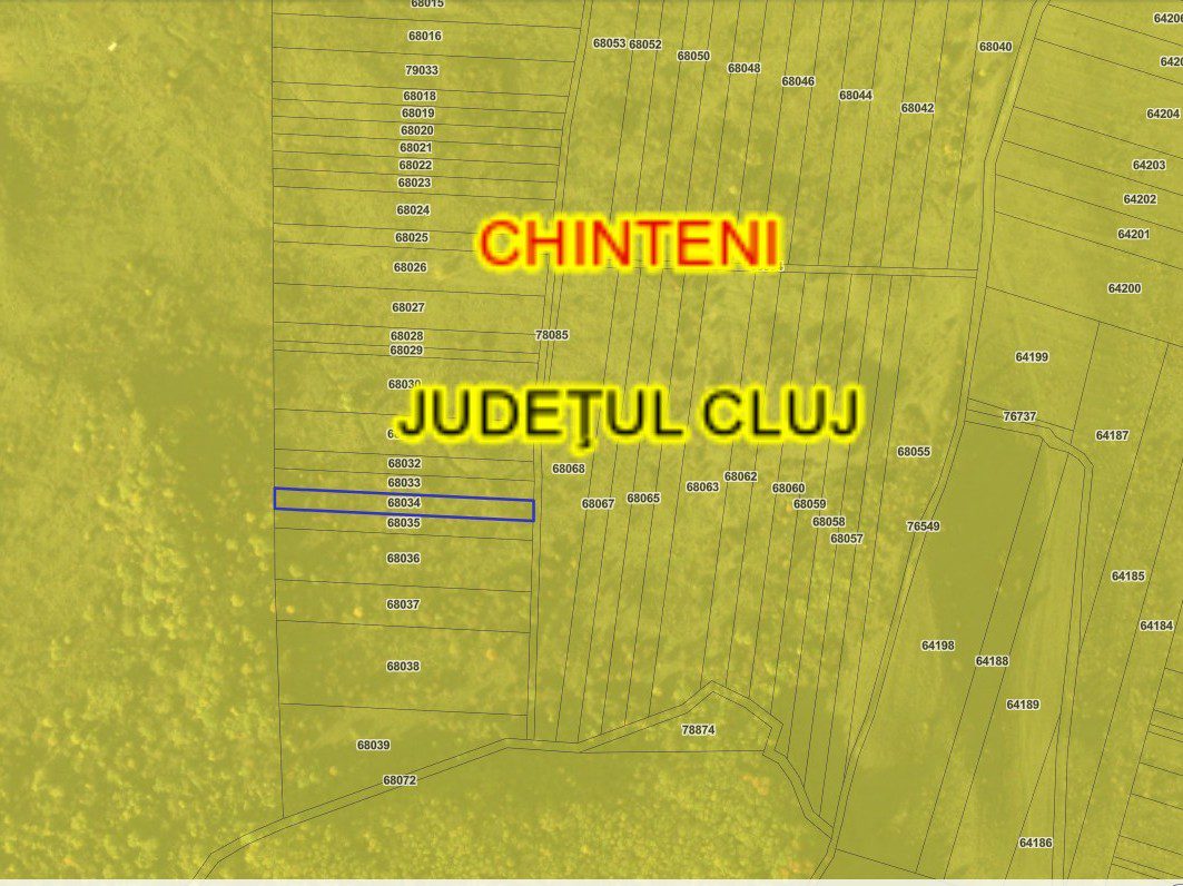 Miniatură 7