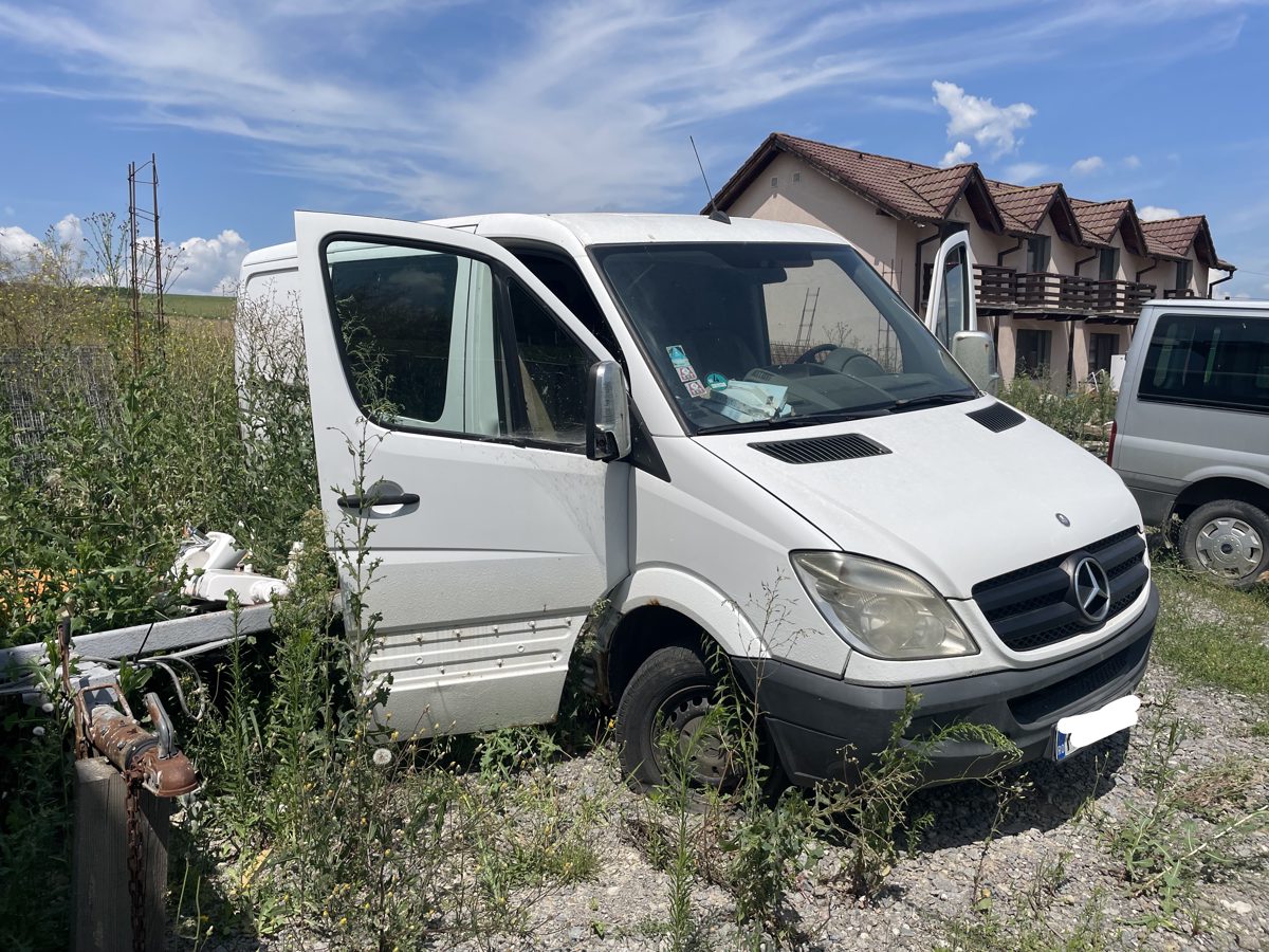 Miniatură 2