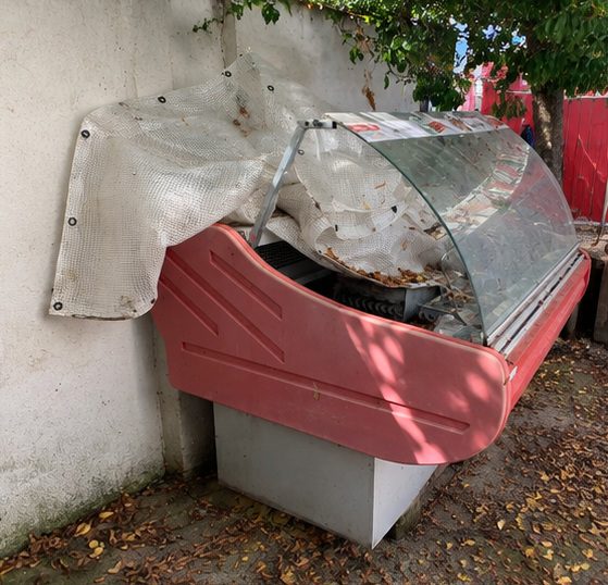 Miniatură 3