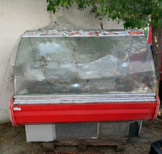 Miniatură 4