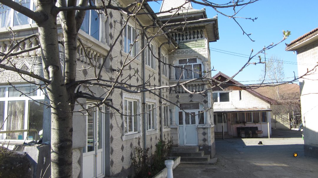Miniatură 5