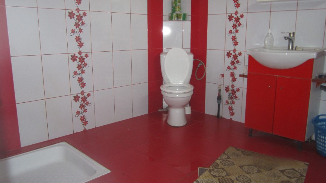 Miniatură 10