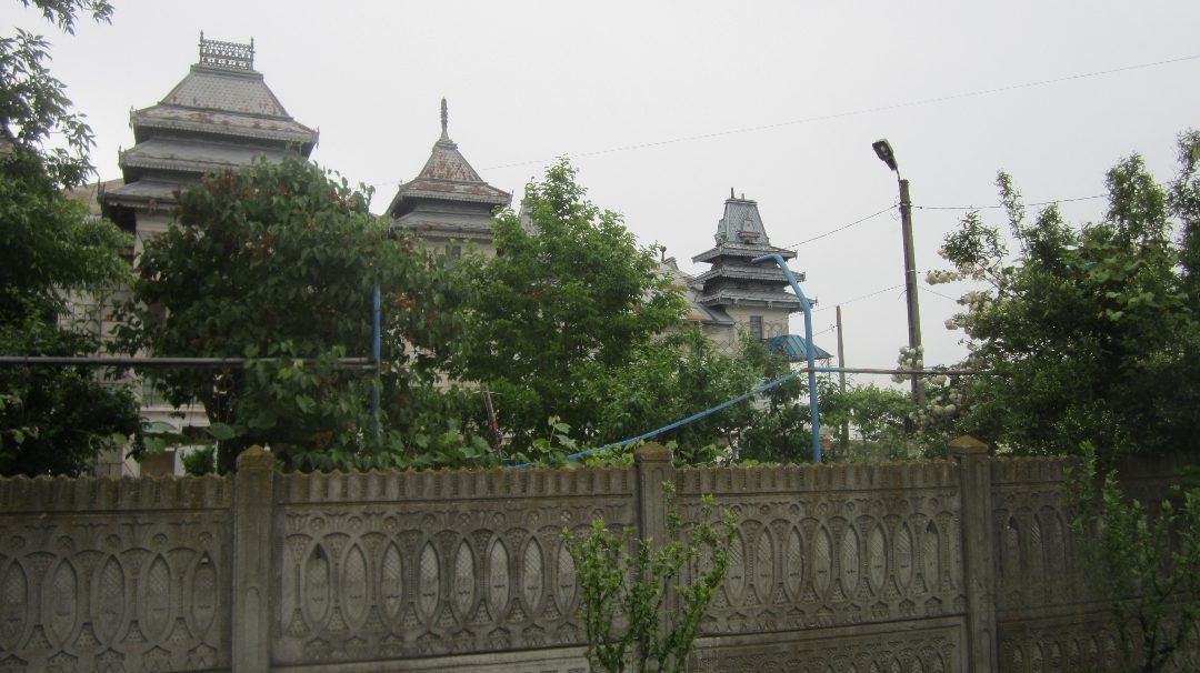 Miniatură 2