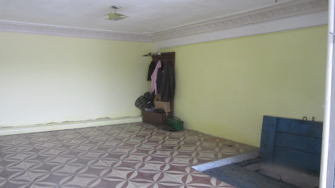 Miniatură 7
