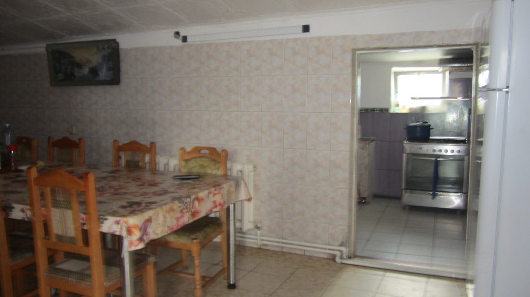 Miniatură 8