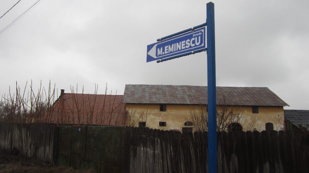 Miniatură 5