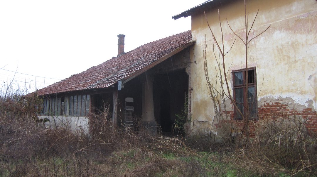 Miniatură 7
