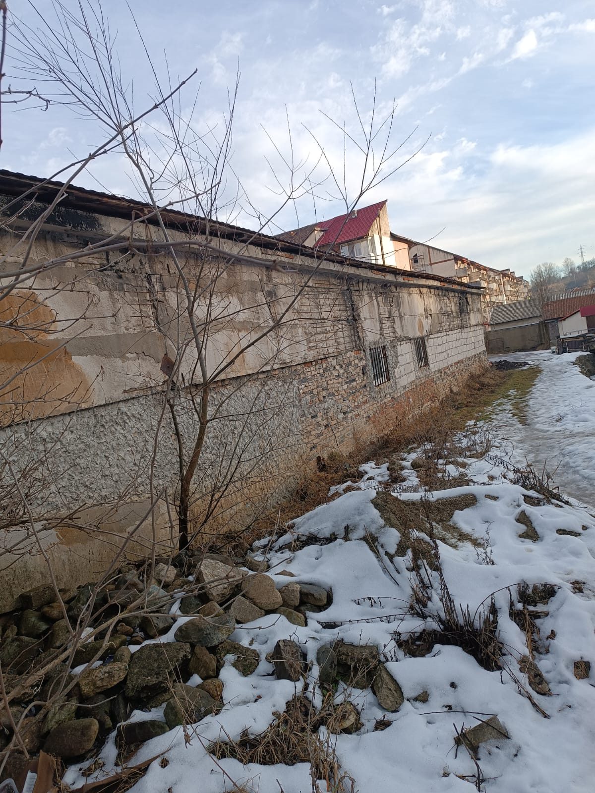 Miniatură 3
