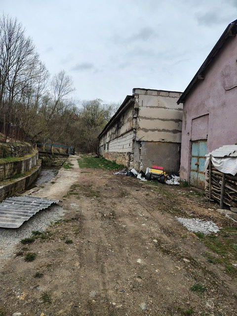 Miniatură 5