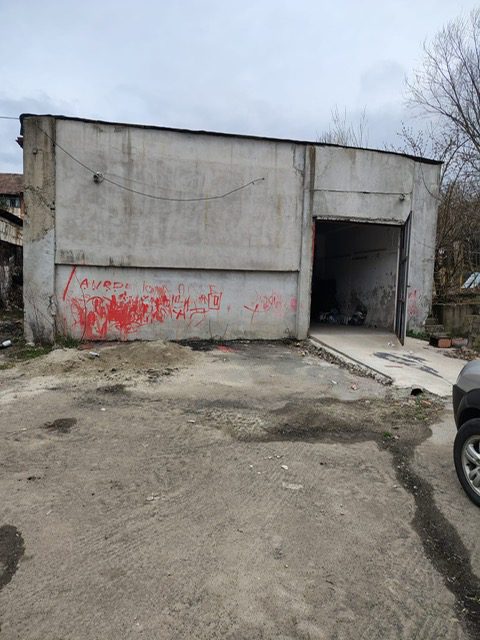 Miniatură 8