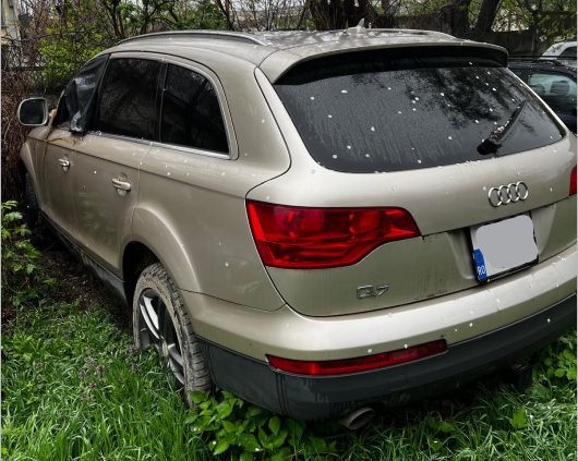 Miniatură 2