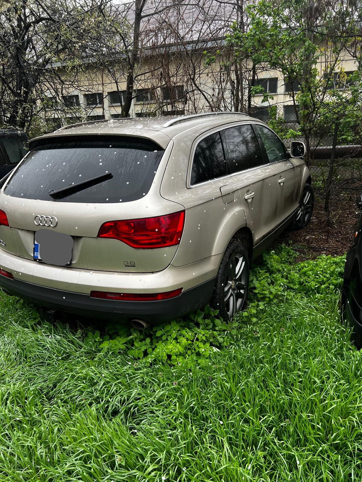 Miniatură 4