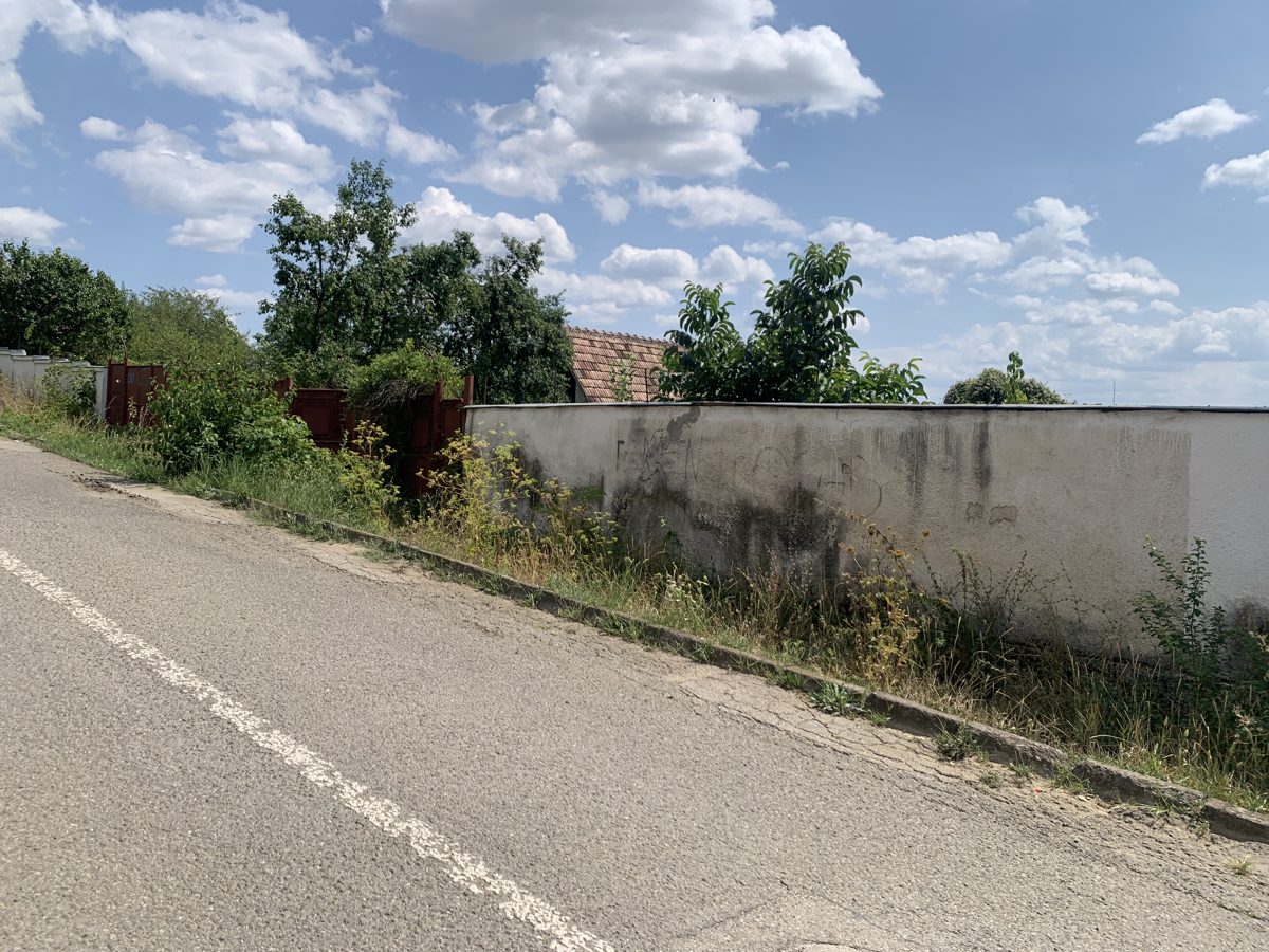 Miniatură 2