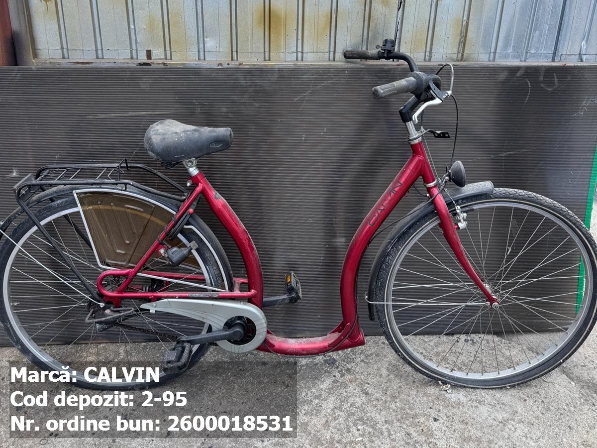 Bicicleta- Calvin 1