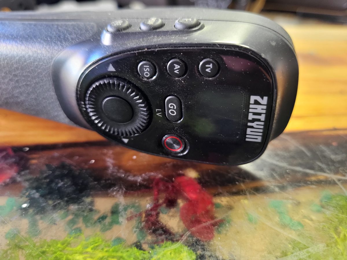 Miniatură 6