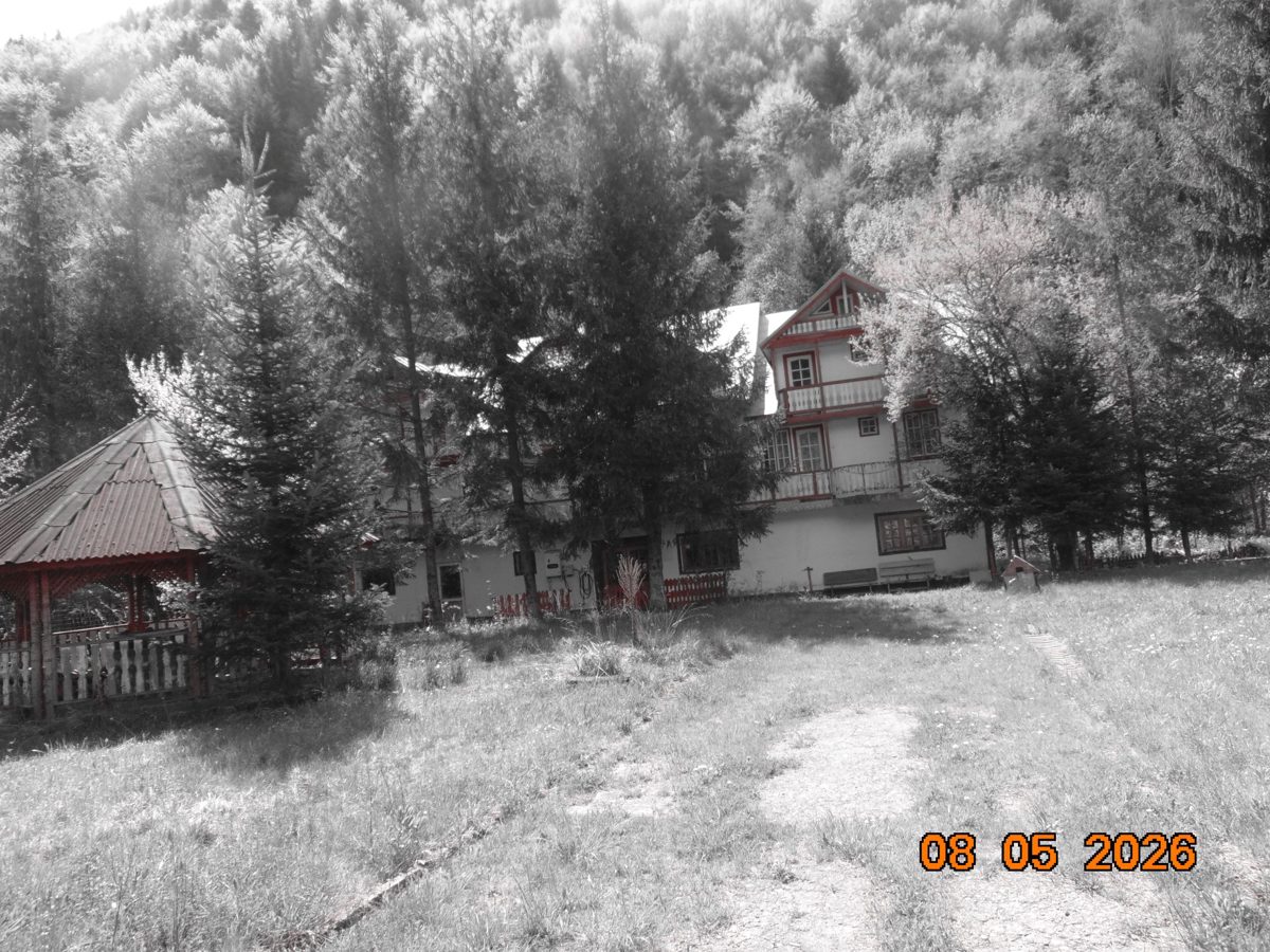 Faneata - 1