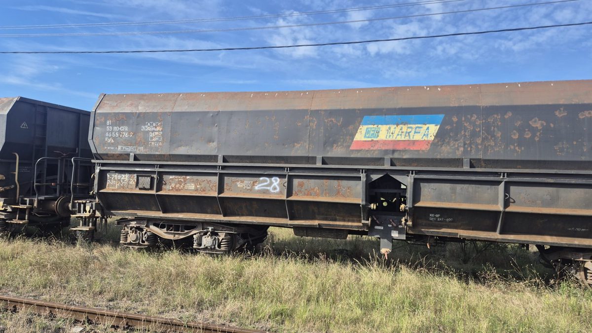 Vagon 815366552769 - Vagon marfa FALS (1989) 1