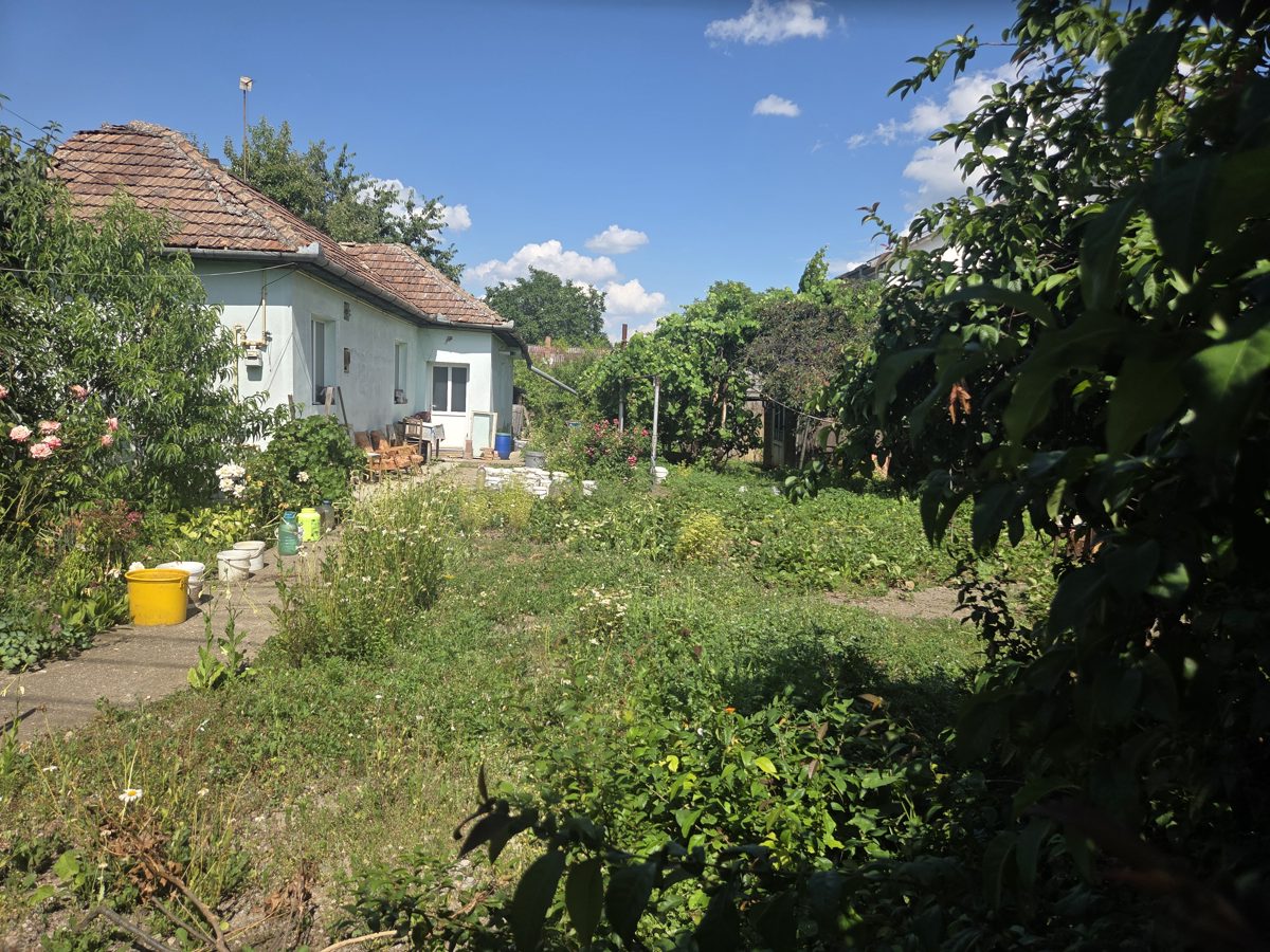 Miniatură 5