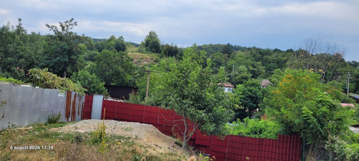 Miniatură 5