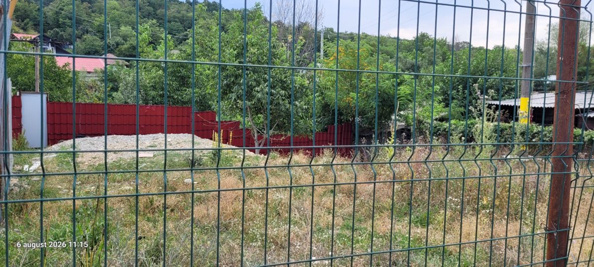 Miniatură 6