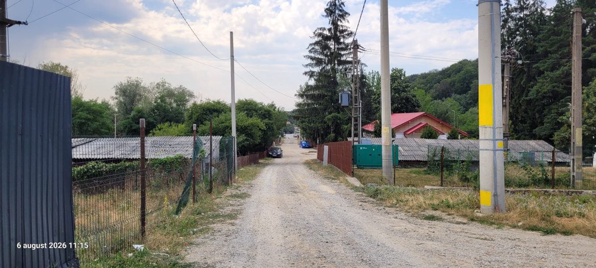 Miniatură 8