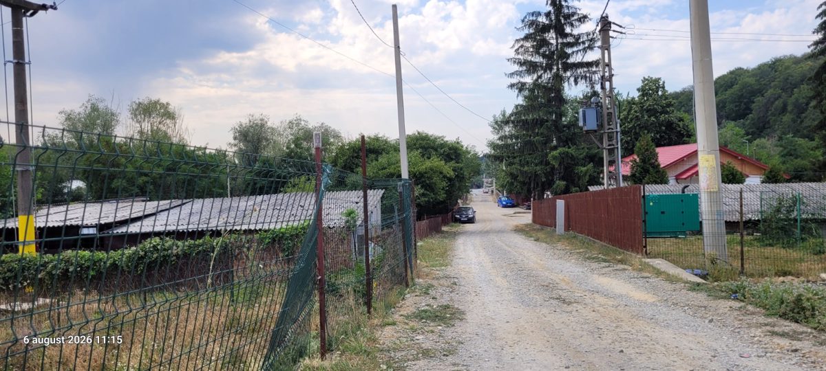 Miniatură 10