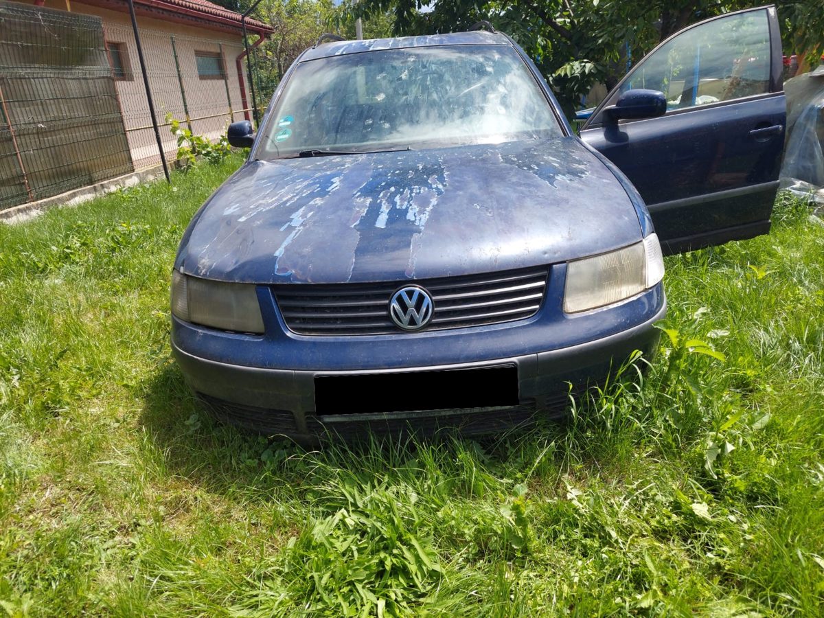 Miniatură 2