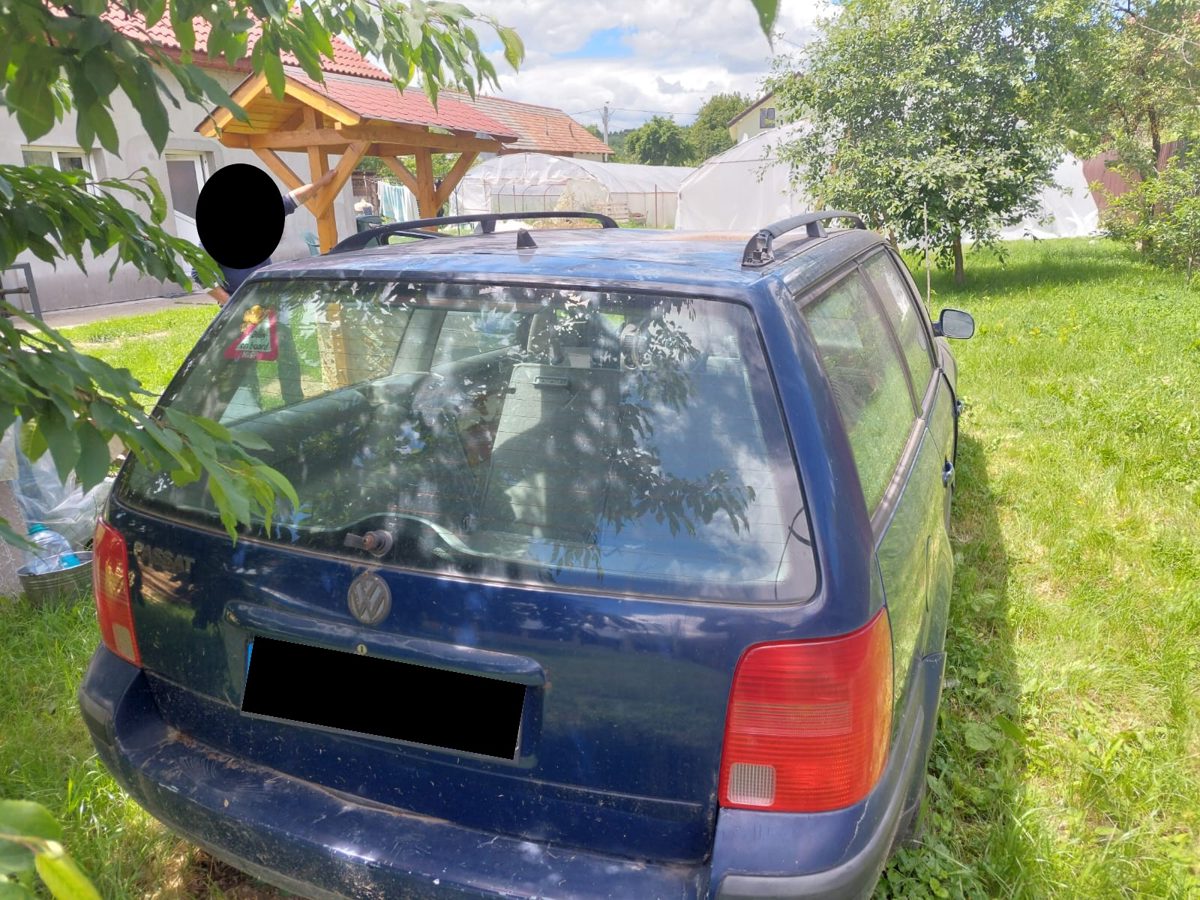 Miniatură 11