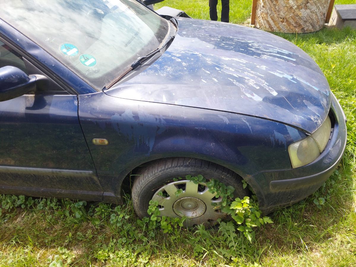 Miniatură 4