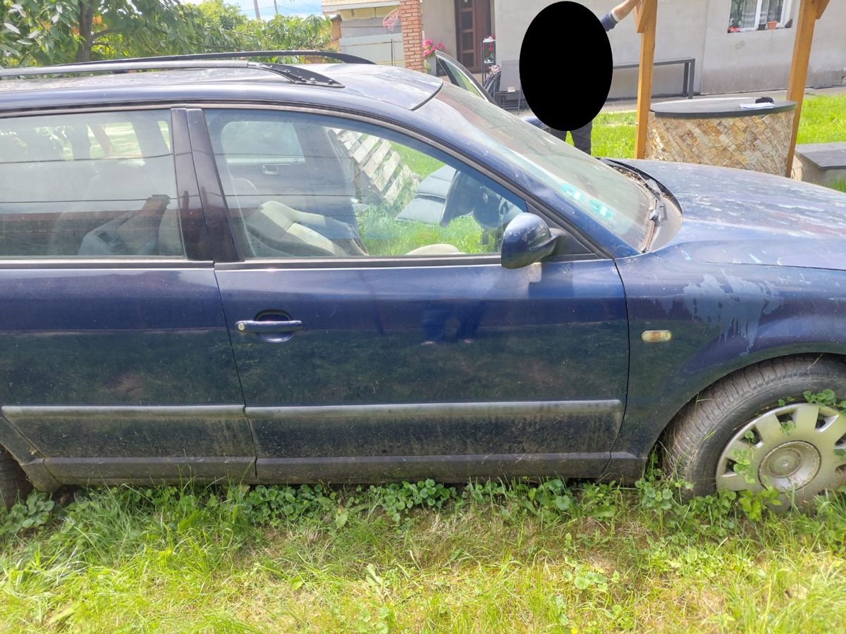 Miniatură 5