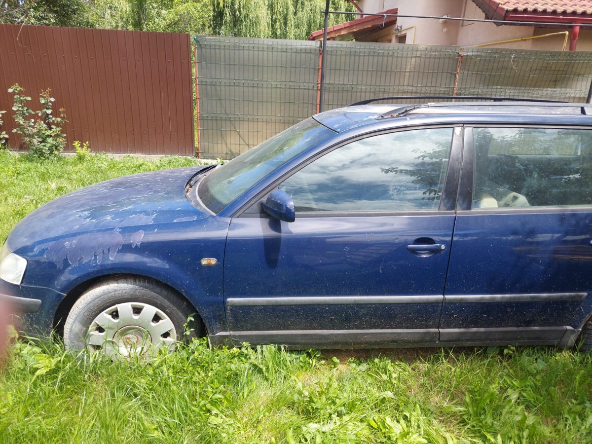 Miniatură 6