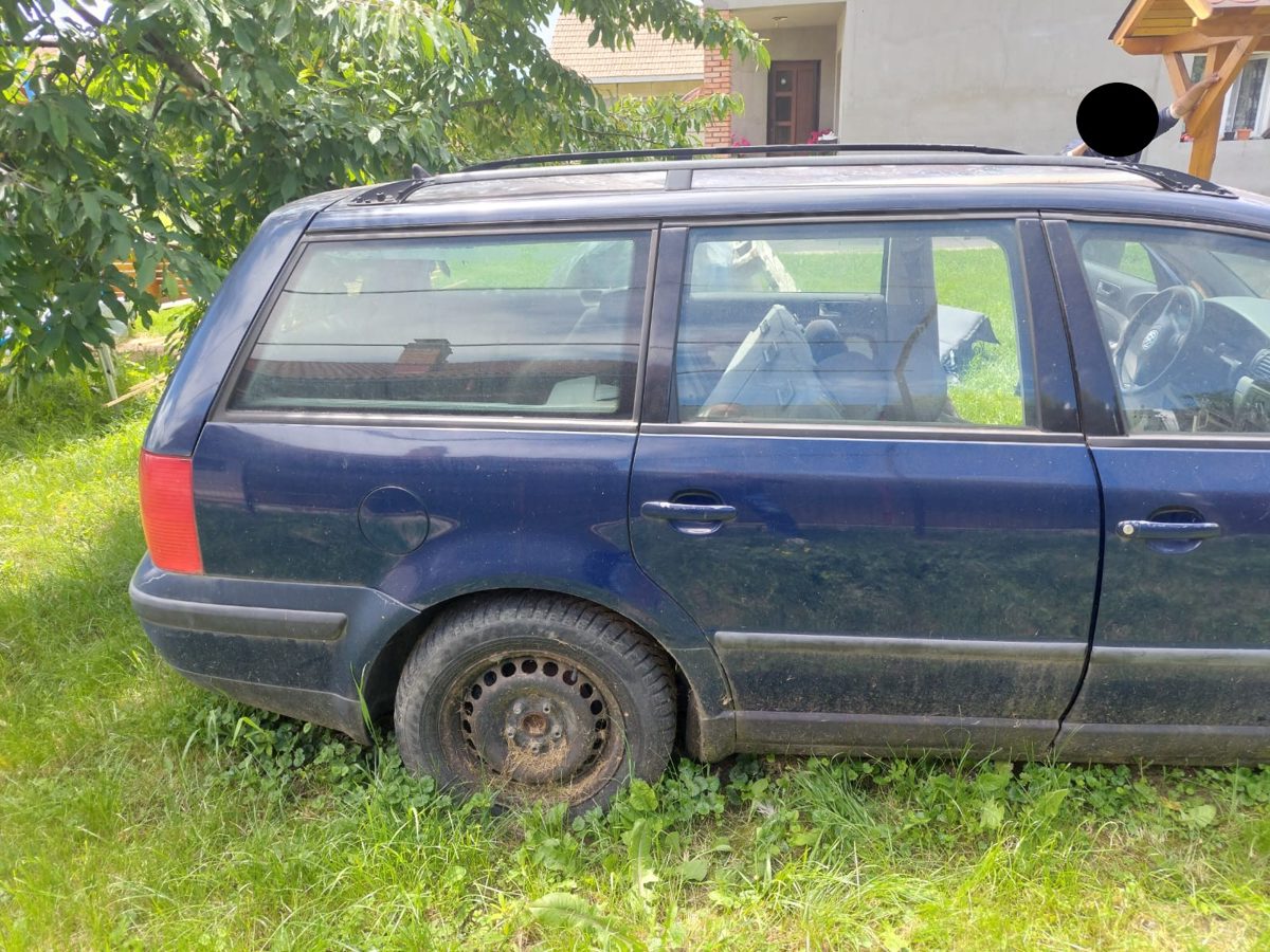 Miniatură 7