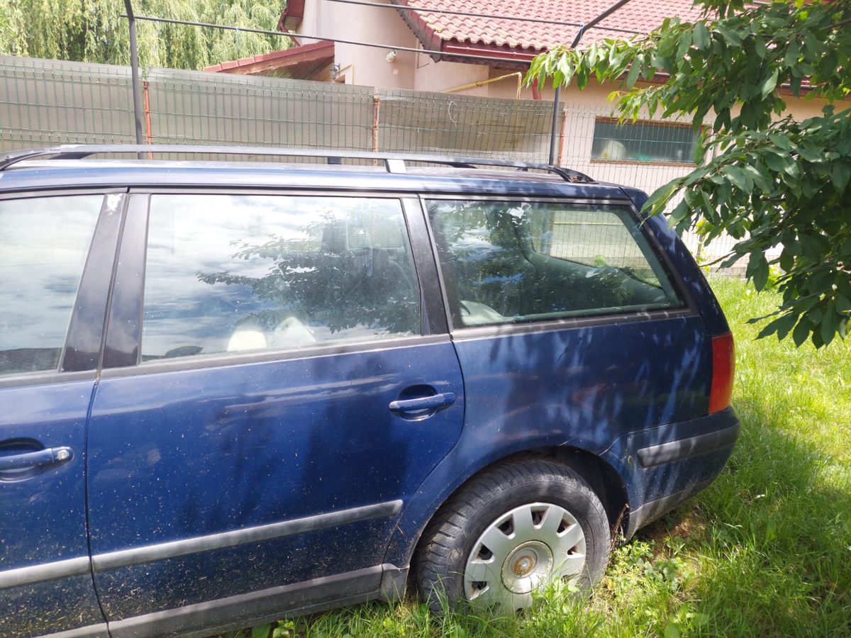 Miniatură 8