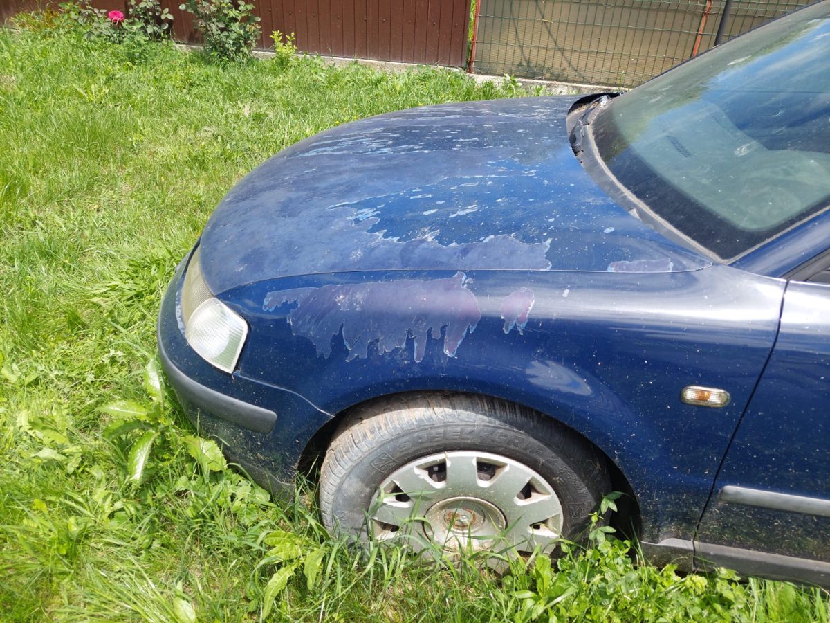 Miniatură 9