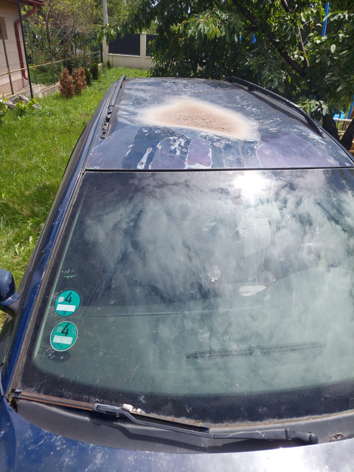 Miniatură 10