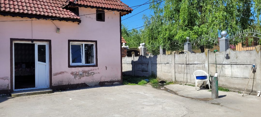 Miniatură 5
