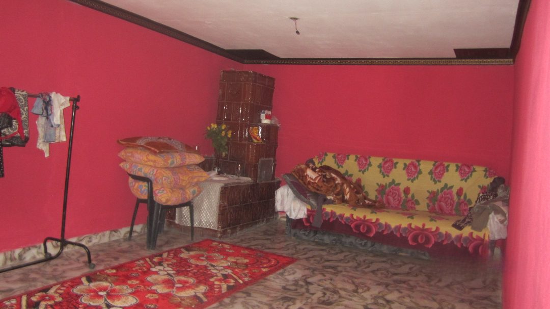 Miniatură 8