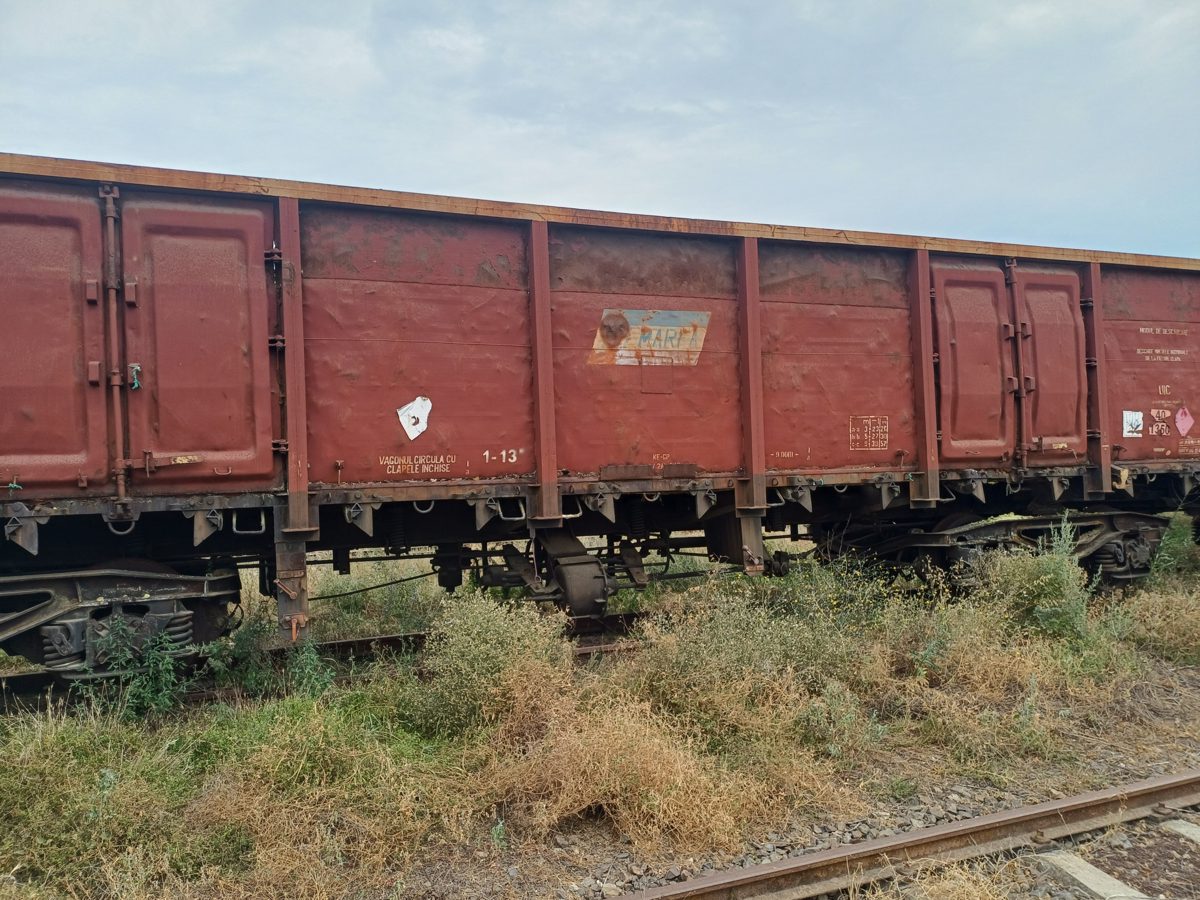 Miniatură 2