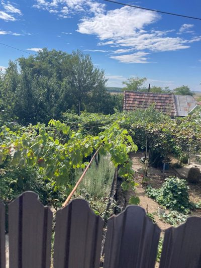 Teren construibil - INTRAVILAN - Măcin jud. Tulcea