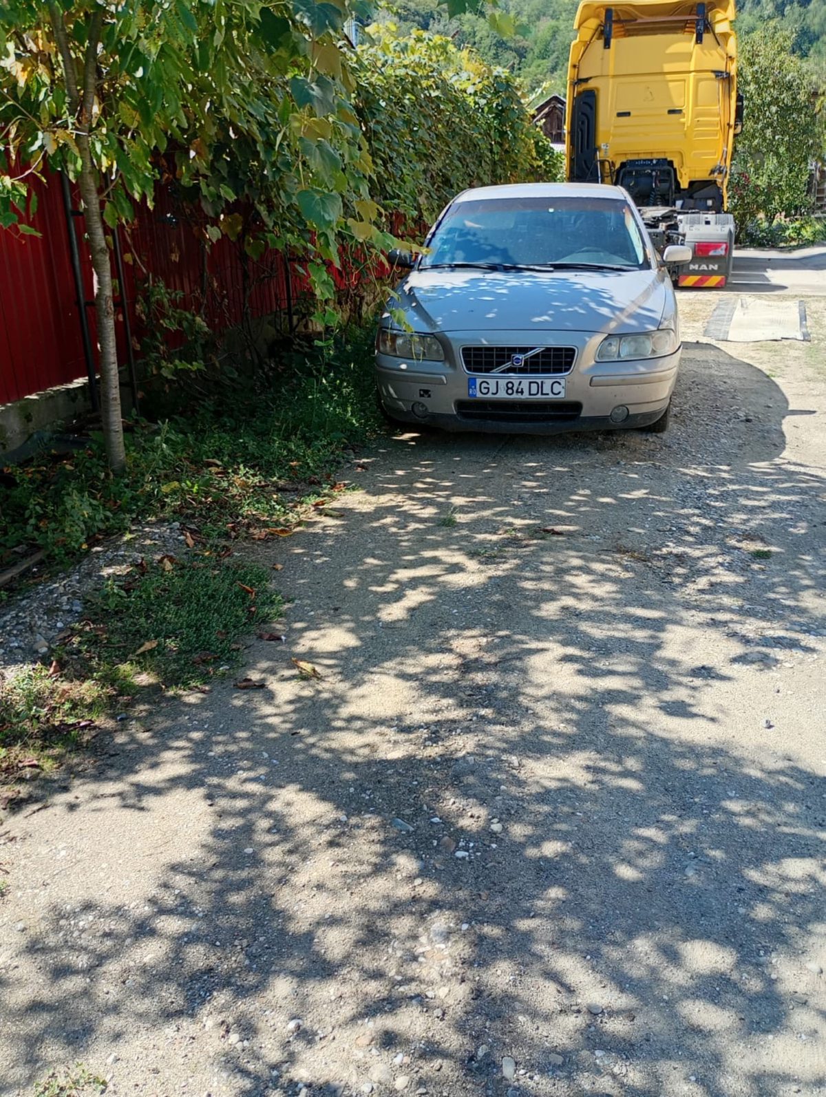 Miniatură 2