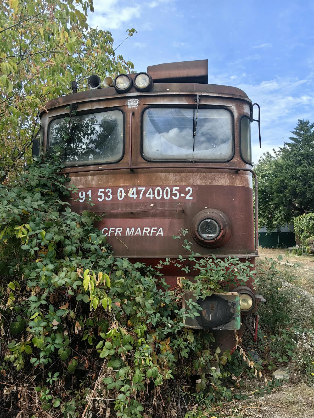 Miniatură 2