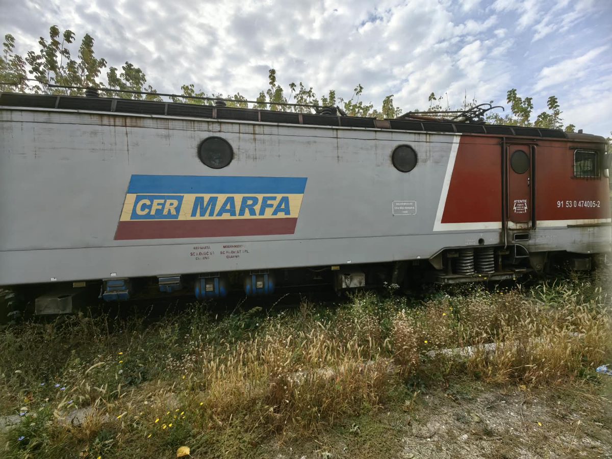 Miniatură 3